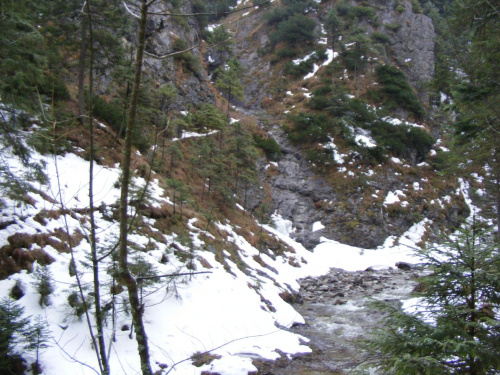 Dolina Olczyska Styczeń 2009