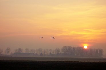 Okolice klifu Rozgard #rozgard #puck #klif #szlak