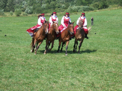 Taniec na koniu? :P #konie #Krempna #ParadaHistorycznaWKrempnej