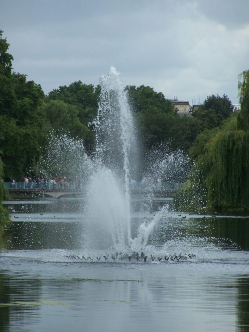 Londyn okolice Westminister & St. James park #Londyn #Park #pelikan #statki #mosty #oko #rzeka #BigBen #zegar