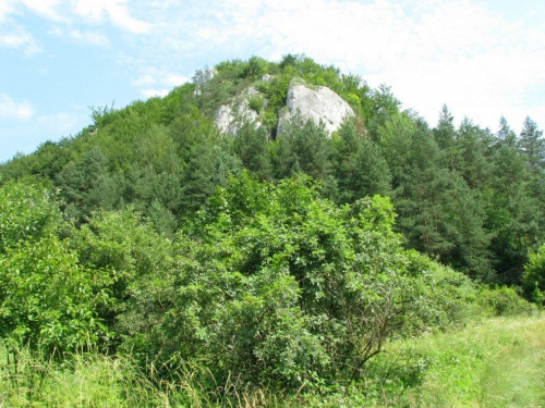 Skała Będkkowskiej Bramy.