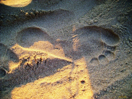 Ślady stóp na piasku.