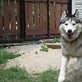Kronos