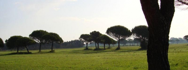 Park przy Lido dei Pini