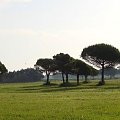 Park przy Lido dei Pini