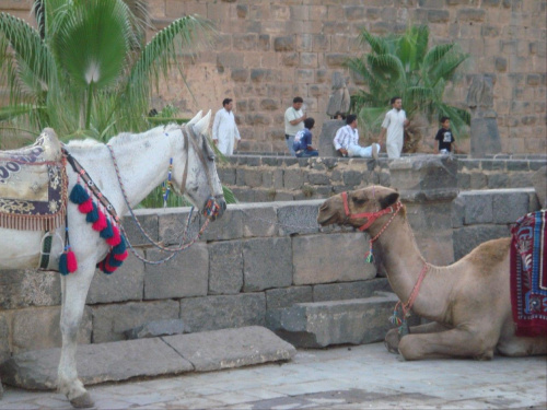 Bosra (Syria)