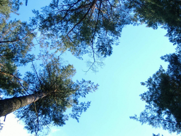 25 dni obozu nad deszczowymi Starymi kiełbonkami i zamulonym jeziorem Zdrużnem.
Ale i tak miło było;-)