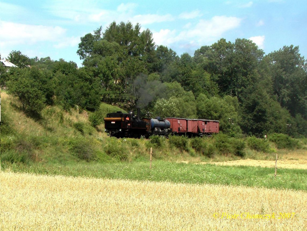 Parowozjada 2007 - jeszcze jednen słowak. Nawet cysternę "Pivovar" miał swoją. Ile tam się złotego płynu z pianką zmieści :) #kolej #Parowozjada #parowóz #lato #retro