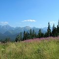 widoczek na tatry