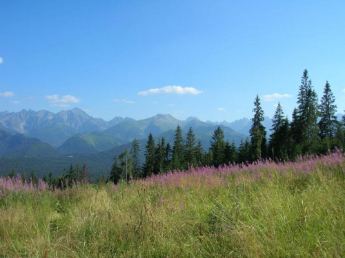 widoczek na tatry