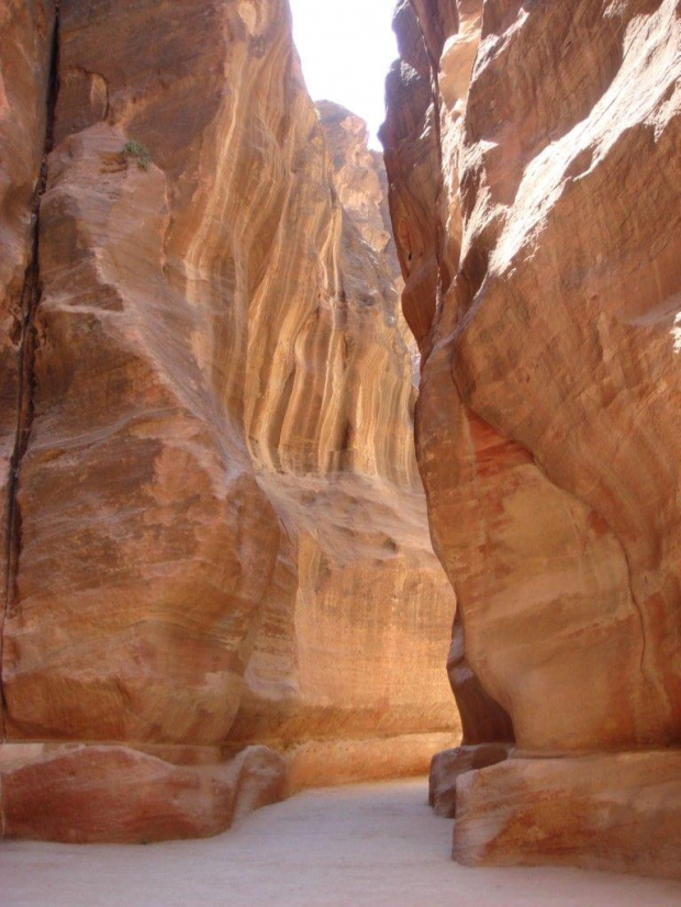 Petra (Jordania)