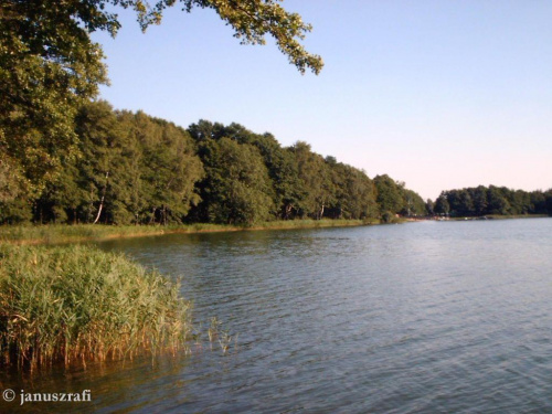 Jezioro Jankowskie (okolice Gniezna)