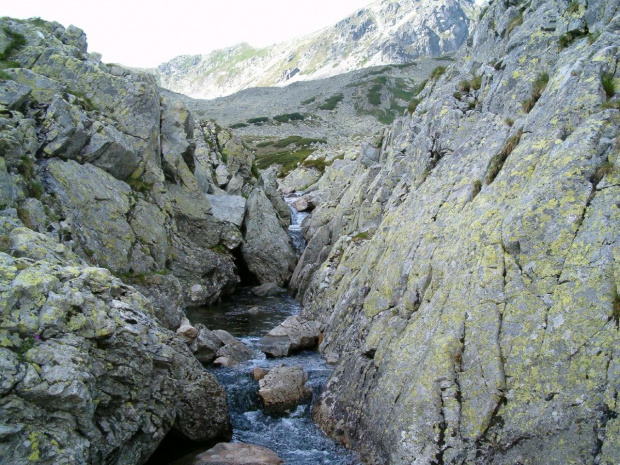 potok w Dol. Staroleśnej #Tatry