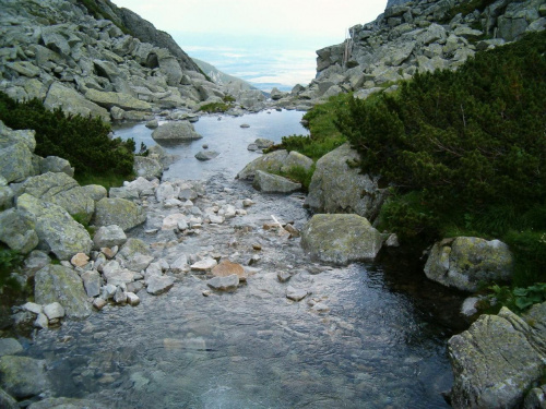 Staroleśny Potok #Tatry