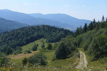 Beskid Żywiecki- Pasmo Jałowieckie. Czerniawa sucha(1062m.n.p.m.), Beskidek(1044),Hala Kamińskiego, Mędralowa(1169) Hala Mędralowa, Jaworzyniec(997). #BeskidŻywiecki #Jałowiec #Mędralowa #HalaKamińskiego #HalaMędralowa #CzerniawaSucha