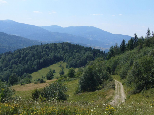 Beskid Żywiecki- Pasmo Jałowieckie. Czerniawa sucha(1062m.n.p.m.), Beskidek(1044),Hala Kamińskiego, Mędralowa(1169) Hala Mędralowa, Jaworzyniec(997). #BeskidŻywiecki #Jałowiec #Mędralowa #HalaKamińskiego #HalaMędralowa #CzerniawaSucha