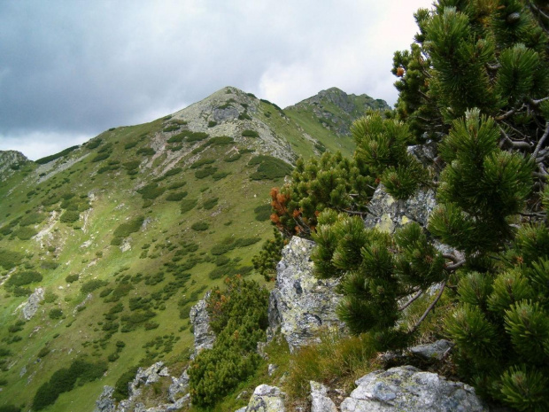 grań Otargańców #Tatry