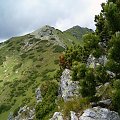 grań Otargańców #Tatry