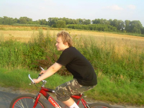 Myślibórz