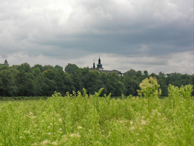 Zespół Pałacowy w Kurozwękach; mini zoo, labirynt w polu kukurydzianym i pare innych atrakcji