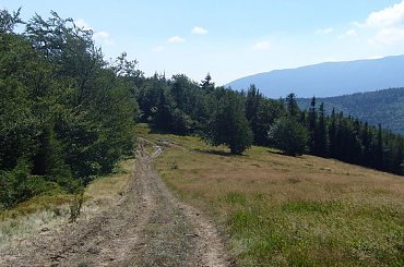 Beskid Żywiecki- Pasmo Jałowieckie. Czerniawa sucha(1062m.n.p.m.), Beskidek(1044),Hala Kamińskiego, Mędralowa(1169) Hala Mędralowa, Jaworzyniec(997). #BeskidŻywiecki #Jałowiec #Mędralowa #HalaKamińskiego #HalaMędralowa #CzerniawaSucha