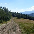 Beskid Żywiecki- Pasmo Jałowieckie. Czerniawa sucha(1062m.n.p.m.), Beskidek(1044),Hala Kamińskiego, Mędralowa(1169) Hala Mędralowa, Jaworzyniec(997). #BeskidŻywiecki #Jałowiec #Mędralowa #HalaKamińskiego #HalaMędralowa #CzerniawaSucha