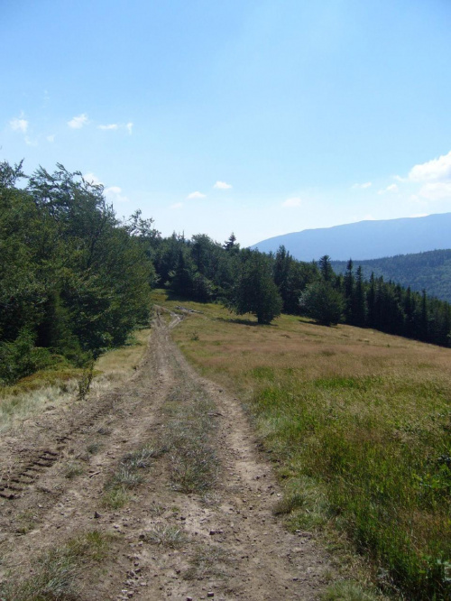 Beskid Żywiecki- Pasmo Jałowieckie. Czerniawa sucha(1062m.n.p.m.), Beskidek(1044),Hala Kamińskiego, Mędralowa(1169) Hala Mędralowa, Jaworzyniec(997). #BeskidŻywiecki #Jałowiec #Mędralowa #HalaKamińskiego #HalaMędralowa #CzerniawaSucha