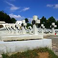 Cmentarz Orląt