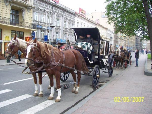 prawie jak na rynku w Krakowie... Prawie!