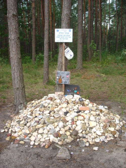 Latem 1941 roku Niemcy wybrali tereny w pobliżu niewielkiej wsi Treblinka pod lokalizację obozu przymusowej pracy dla Żydów (Arbeitslager). Lokalizacja była bardzo korzystna z punktu widzenia Niemców. Teren był ukryty wśród lasów i znajdował się przy l...