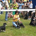 23.VI.2007 #WystawyPsów