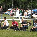 23.VI.2007 #WystawyPsów