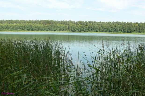 Jezioro Jegocinek #JezioroJegocinek #Breitenheide #SzerokiBórPiski #Breyt #Kwj #Remes #Mazury