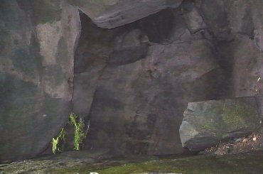 #gory #GoryStolowe #szczeliniec