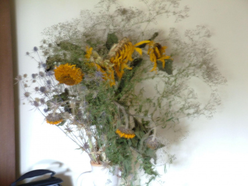 kompozycja kwiatowa ze suszu #kwiaty