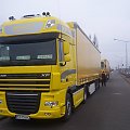 daf