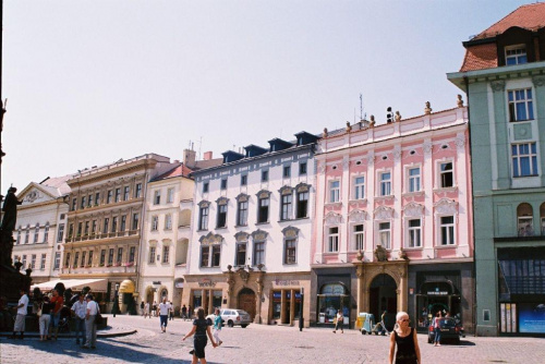 Wystawa kotów Olomouc