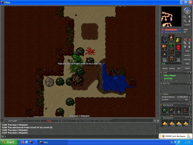 #Tibia