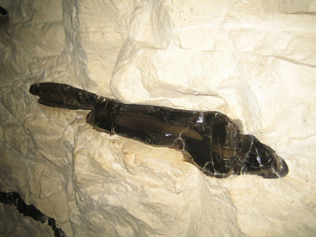 07-10.06.2007