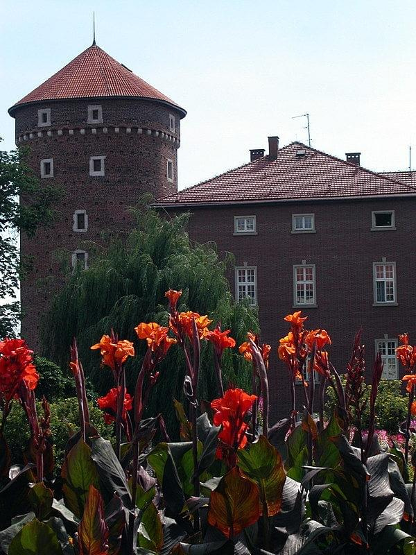 Wawel w kwiatach