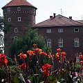 Wawel w kwiatach