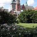 Wawel