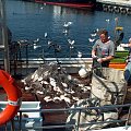 codzienna praca rybaków #statek #urlop
