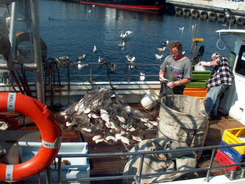 codzienna praca rybaków #statek #urlop