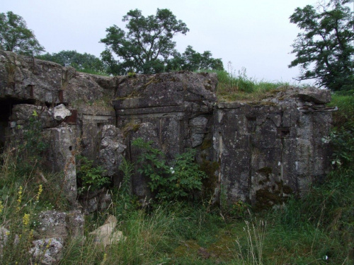 Ruiny bunkra -Lubrzański Szlak Fortyfikacji międzyrzeckiego Rejonu umocnienia -Boryszyn #bunkier #Boryszyn #LubrzanskiSzlagFortyfikacji #ruiny #bunkry