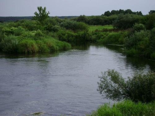 Biebrzański Park Narodowy Lipiec 2oo7