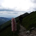 #Tatry #góry