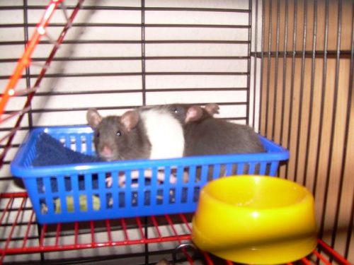 Rosniemy w oczach!