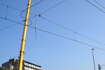 #dźwig #ciężarówka #ciężarowy #samochód #budowa #maszyna #maszyny #budowlana #budowlane #terex #demag