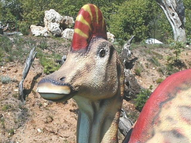 rekonstrukcje dinozaurów w skali 1:1